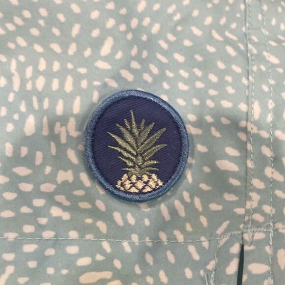 Brand new Chubbies Blue and White Swim Shorts Mesh Liner; 7” in seam Large - Picture 3 of 6